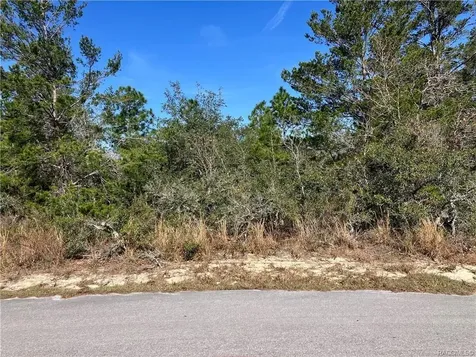 19 Rudbeckia Court Homosassa FL 34446