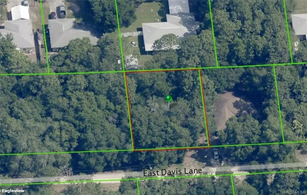 3157 E Davis Lane Inverness FL 34453
