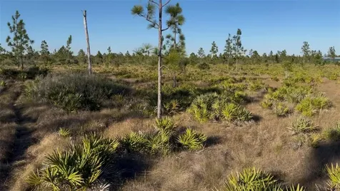 Holopaw Groves Road St Cloud FL 34773