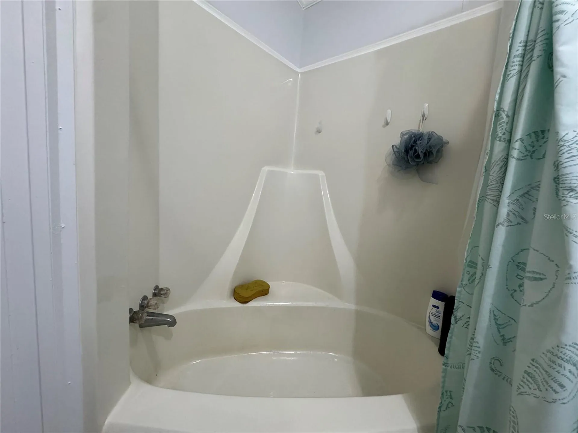 35248 Tiffani Court Zephyrhills FL 33541