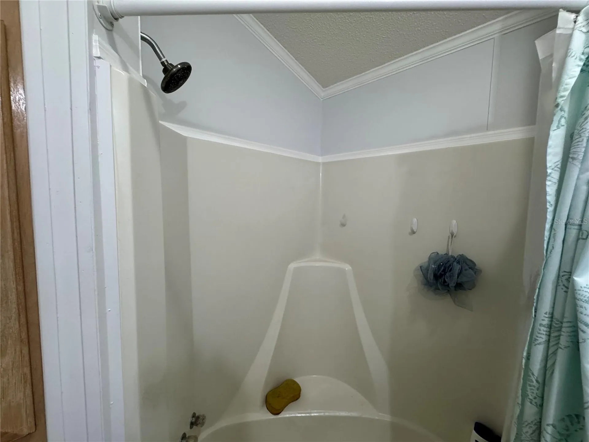 35248 Tiffani Court Zephyrhills FL 33541