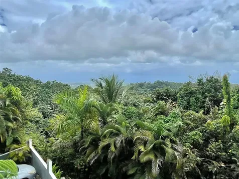 1 Sabana Luquillo PR 00773