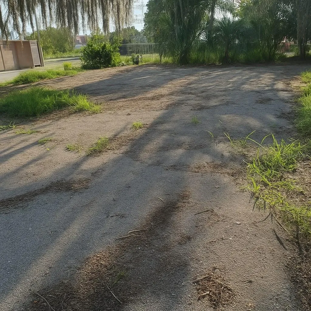 203 Emerald Avenue Lake Wales FL 33853