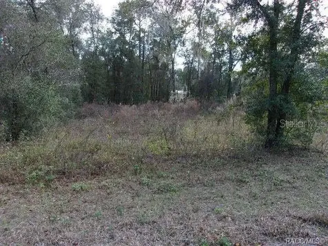 6700 E Haynes Lane Inverness FL 34452