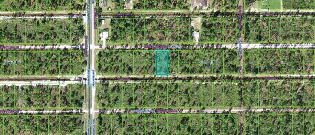 713 Alba Drive Indian Lake Estates FL 33855
