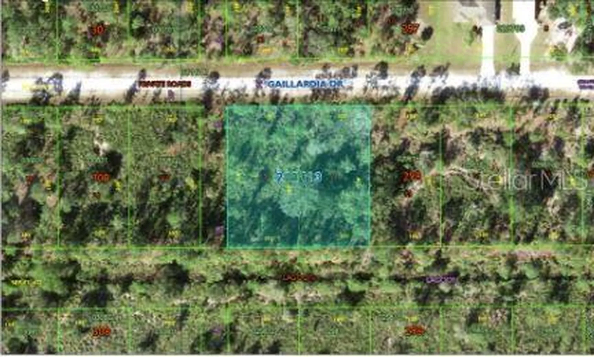 1023 Gallardia Drive Indian Lake Estates FL 33855