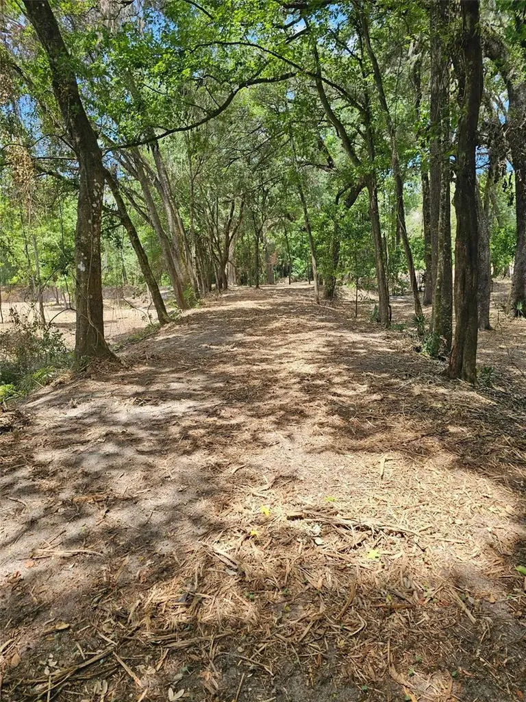 359 Savannah Oaks Drive Brooksville FL 34602