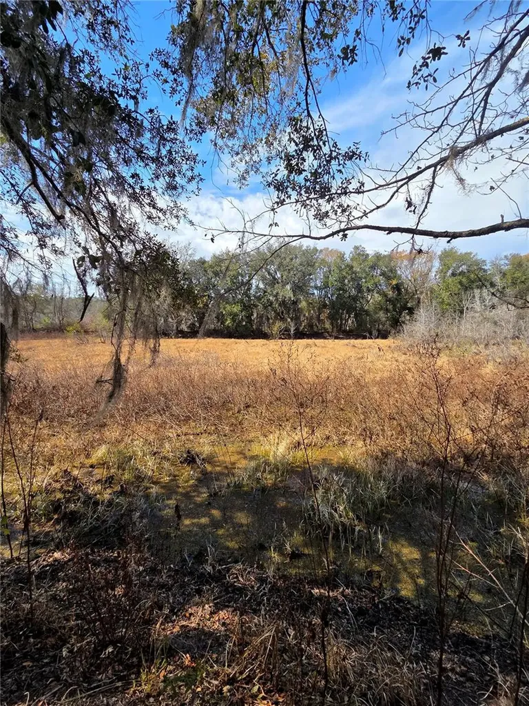 359 Savannah Oaks Drive Brooksville FL 34602
