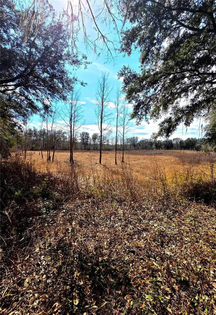 359 Savannah Oaks Drive Brooksville FL 34602