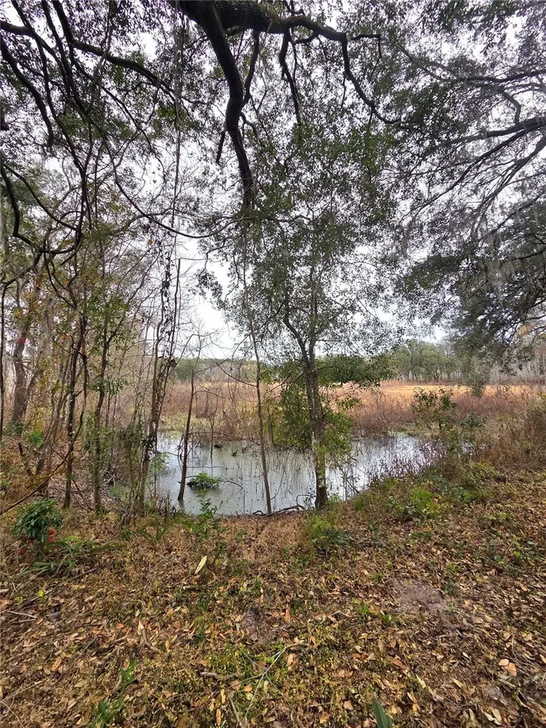 359 Savannah Oaks Drive Brooksville FL 34602