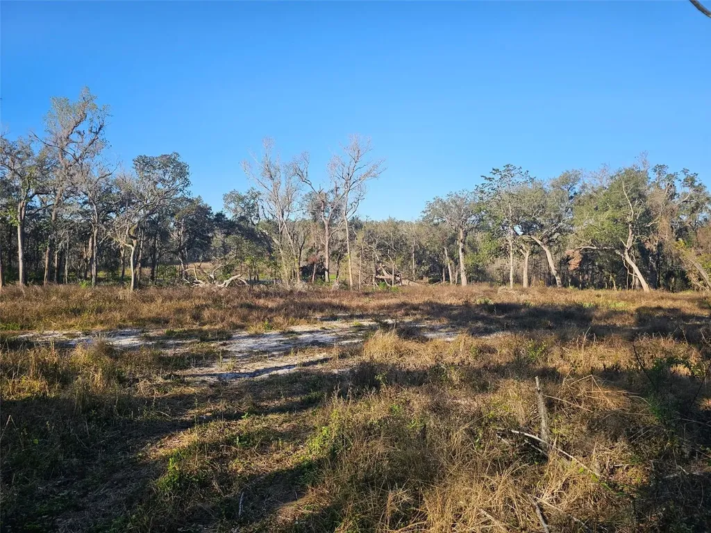 359 Savannah Oaks Drive Brooksville FL 34602