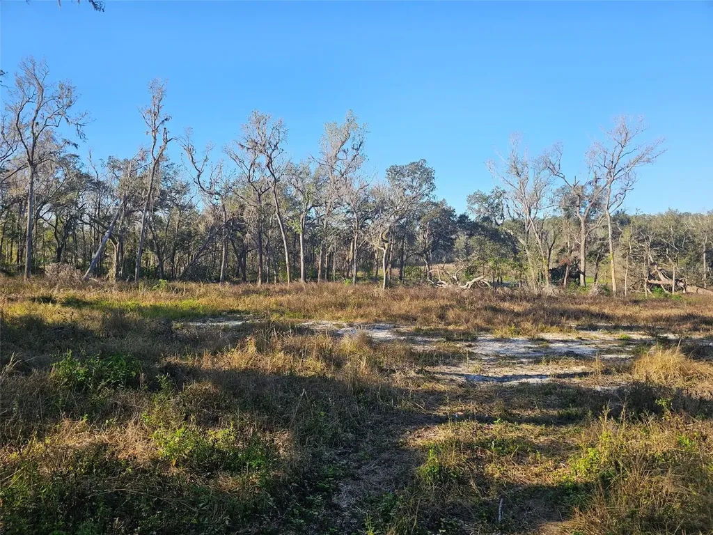 359 Savannah Oaks Drive Brooksville FL 34602