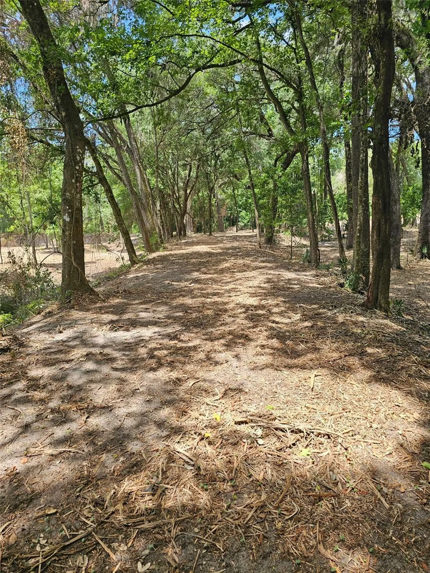 359 Savannah Oaks Drive Brooksville FL 34602