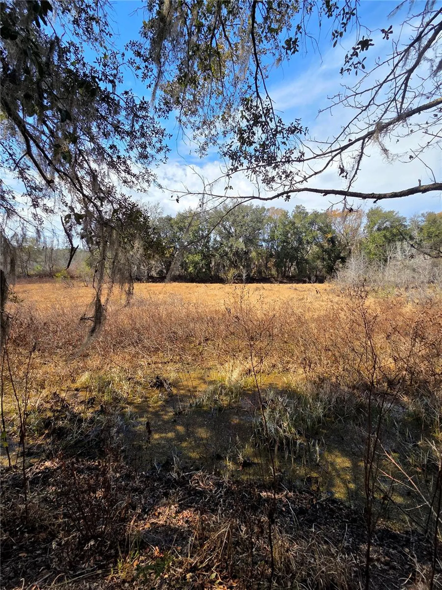 359 Savannah Oaks Drive Brooksville FL 34602