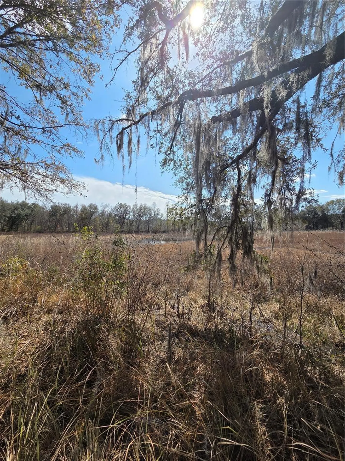 359 Savannah Oaks Drive Brooksville FL 34602