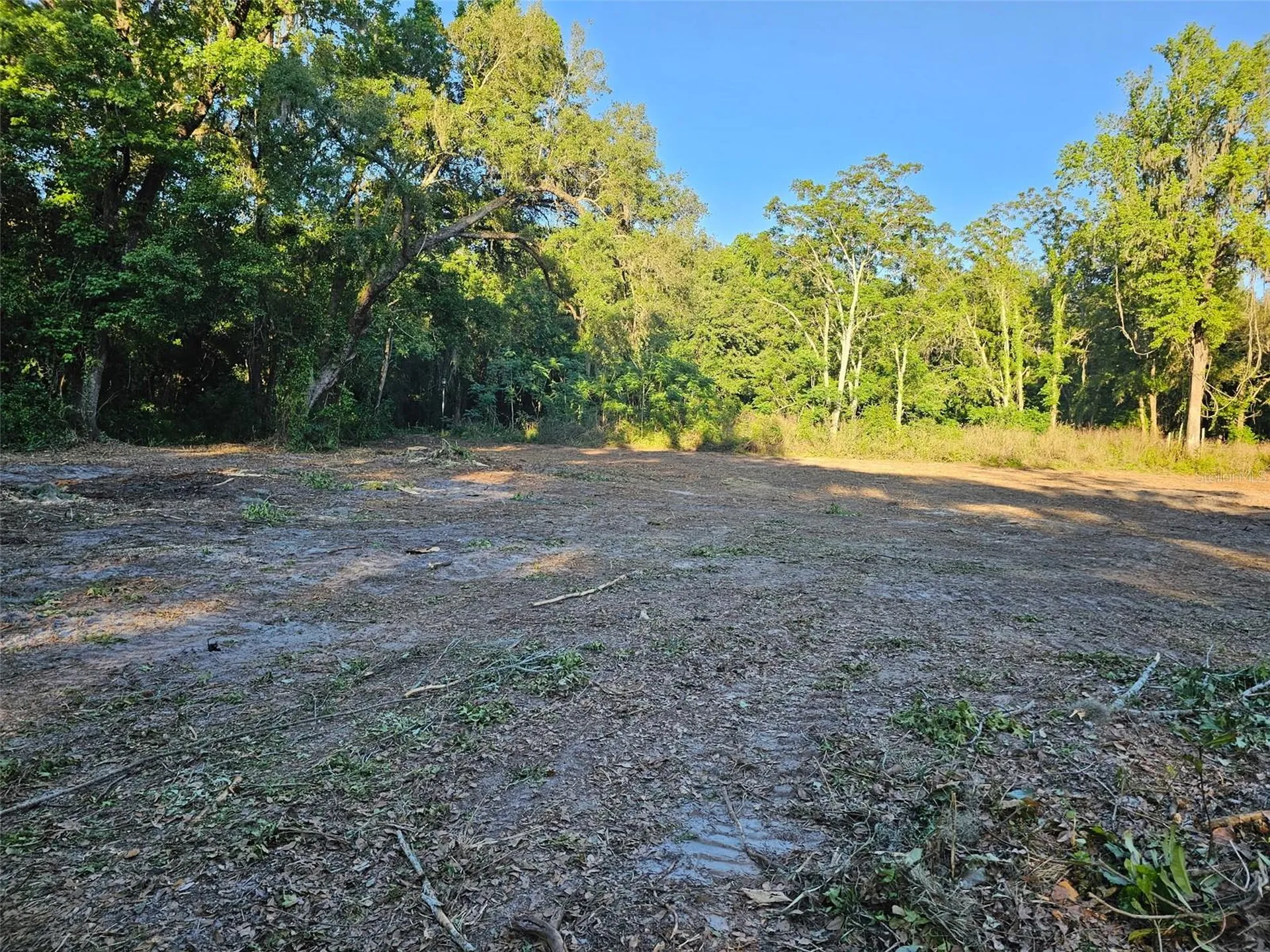 359 Savannah Oaks Drive Brooksville FL 34602