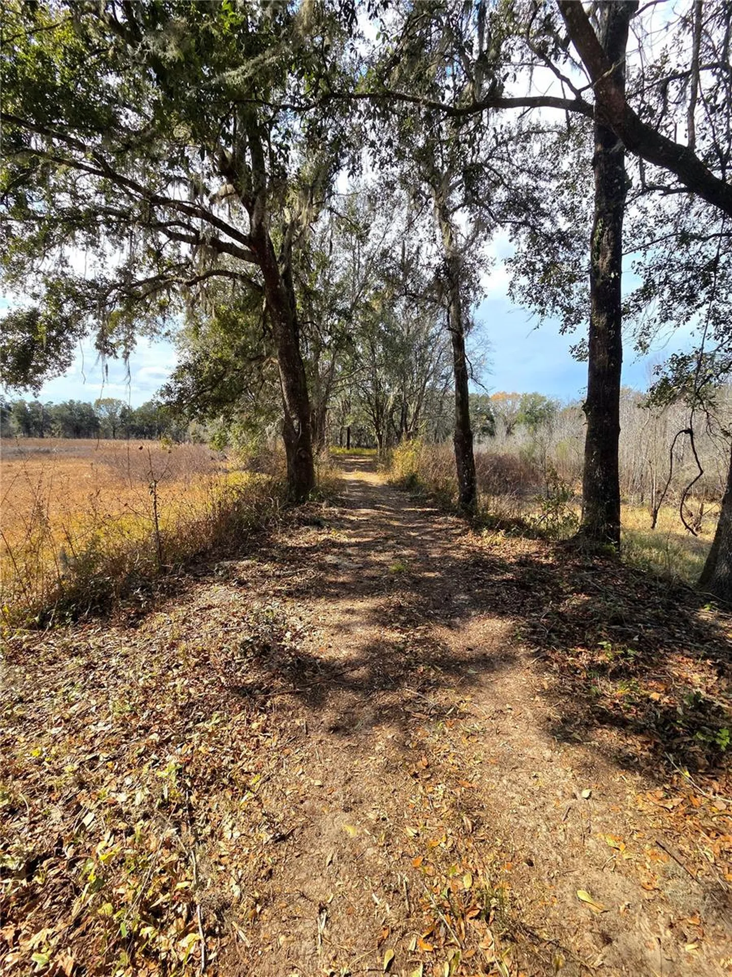359 Savannah Oaks Drive Brooksville FL 34602