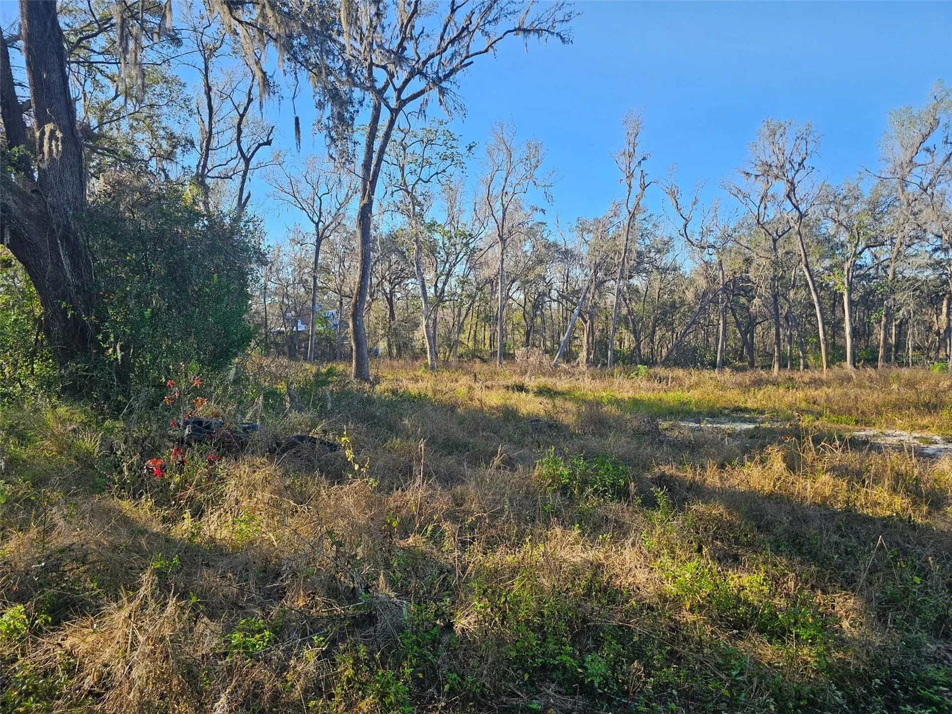 359 Savannah Oaks Drive Brooksville FL 34602