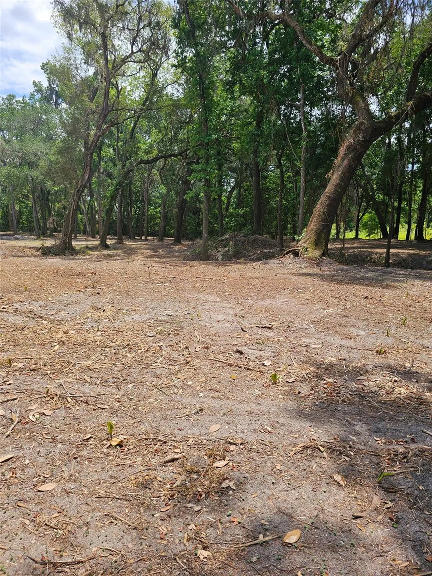 359 Savannah Oaks Drive Brooksville FL 34602