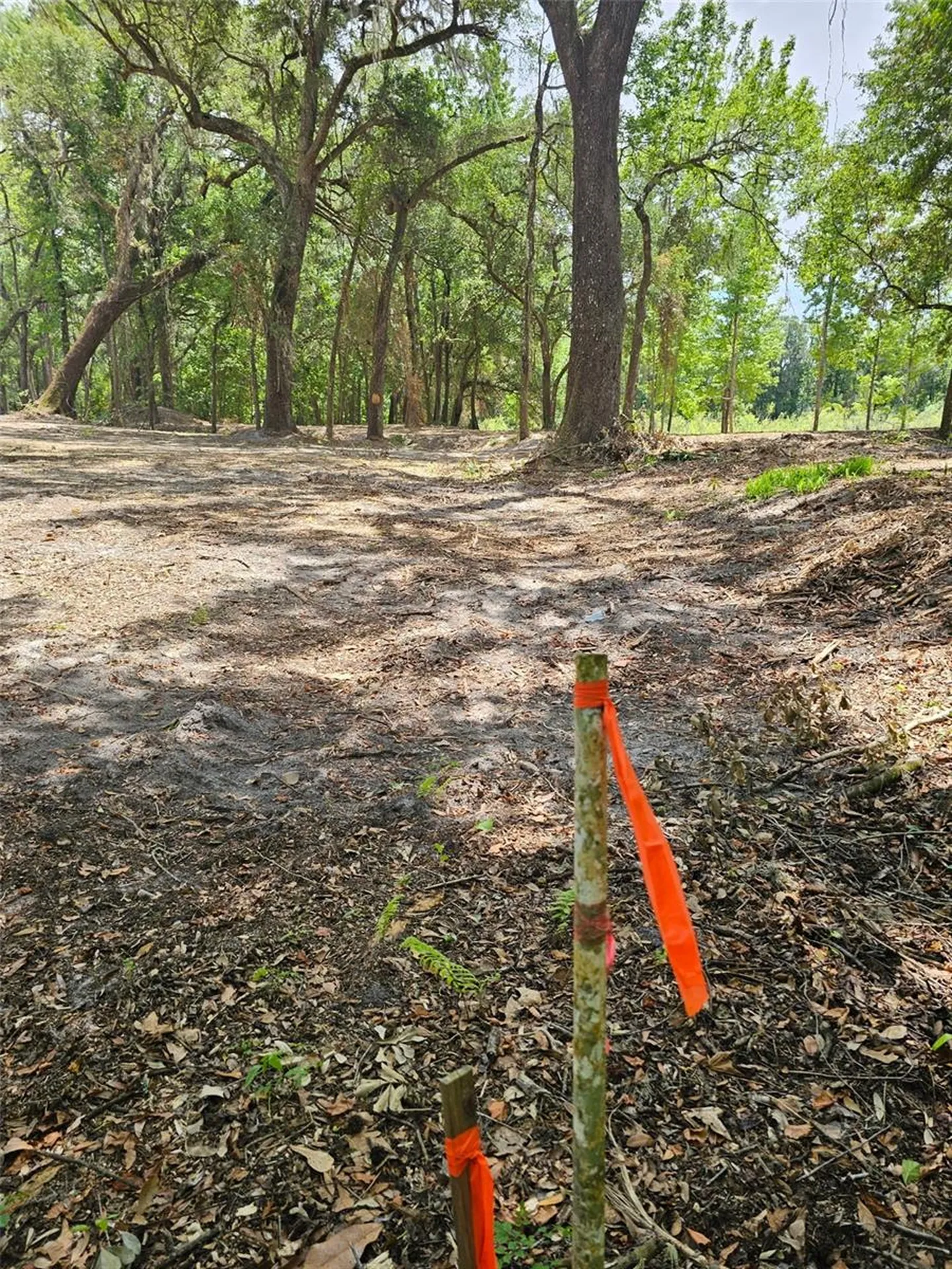 359 Savannah Oaks Drive Brooksville FL 34602
