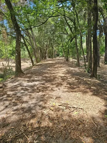 359 Savannah Oaks Drive Brooksville FL 34602