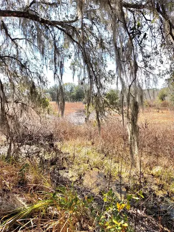 359 Savannah Oaks Drive Brooksville FL 34602