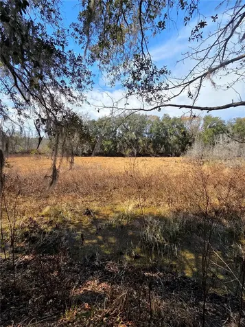 359 Savannah Oaks Drive Brooksville FL 34602