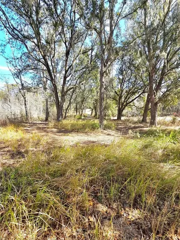 359 Savannah Oaks Drive Brooksville FL 34602