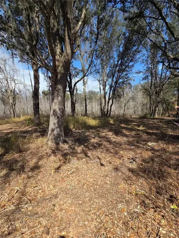 359 Savannah Oaks Drive Brooksville FL 34602