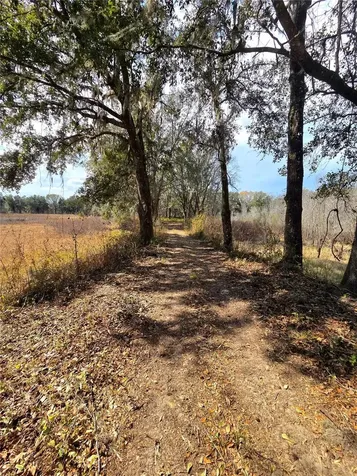 359 Savannah Oaks Drive Brooksville FL 34602
