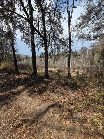359 Savannah Oaks Drive Brooksville FL 34602