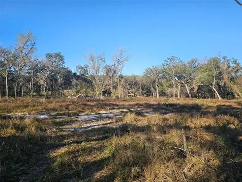 359 Savannah Oaks Drive Brooksville FL 34602