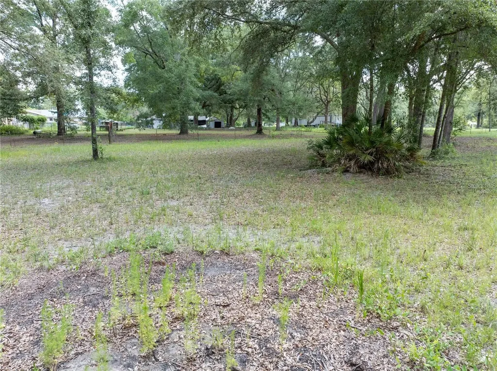 214 SW Leonard Terrace Lake City FL 32024