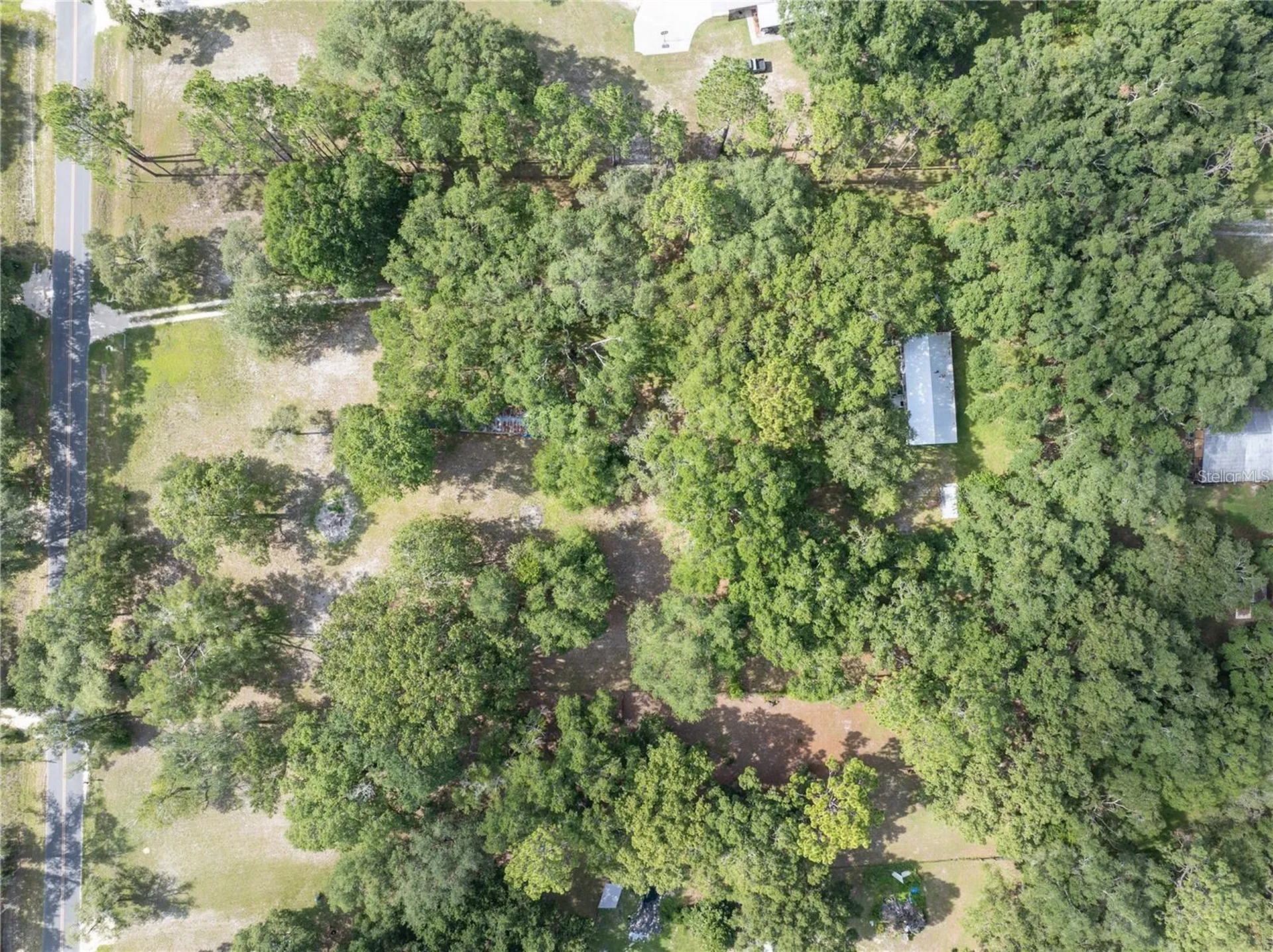 214 SW Leonard Terrace Lake City FL 32024