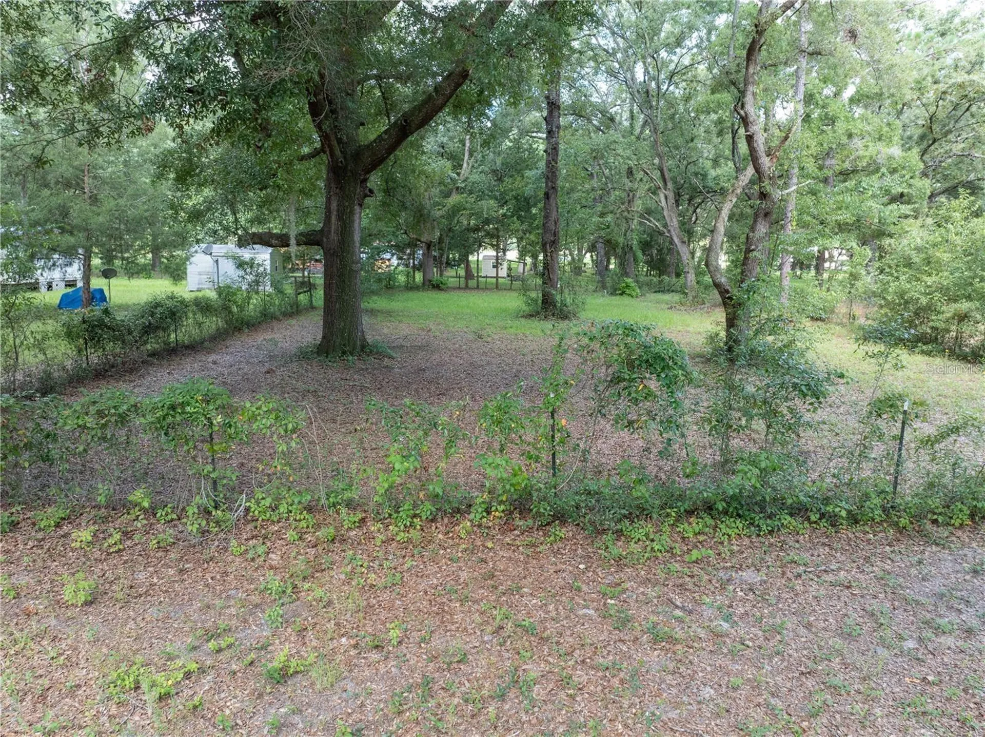 214 SW Leonard Terrace Lake City FL 32024