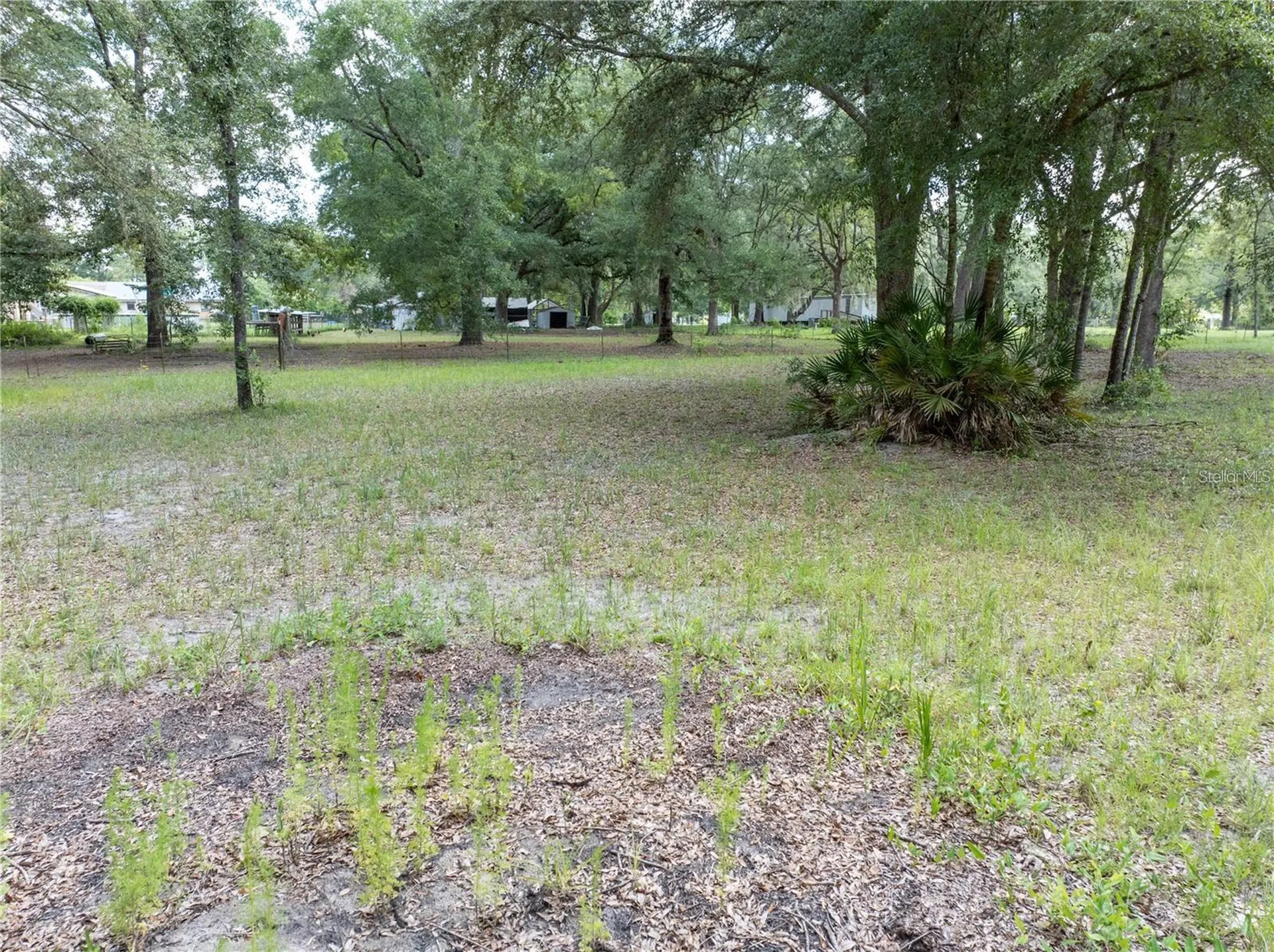 214 SW Leonard Terrace Lake City FL 32024