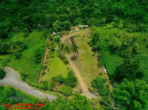 Lot 6 Camino Paco Galán Guaynabo PR 00966
