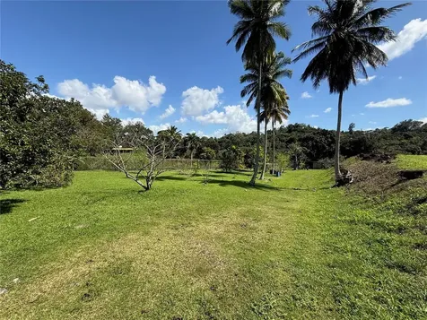 Lot 6 Camino Paco Galán Guaynabo PR 00966