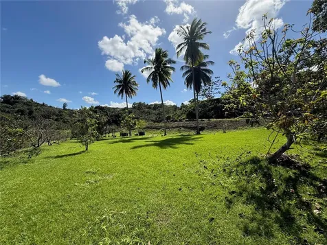Lot 6 Camino Paco Galán Guaynabo PR 00966