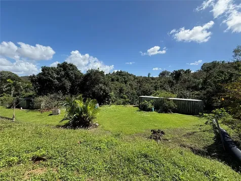 Lot 6 Camino Paco Galán Guaynabo PR 00966
