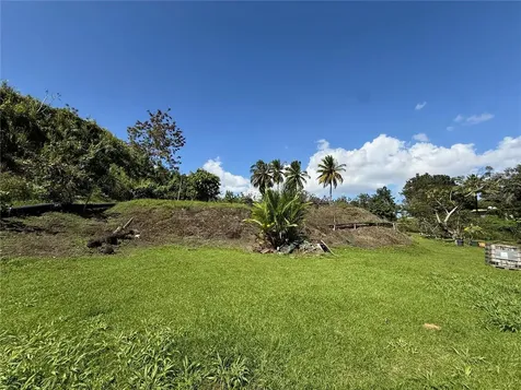 Lot 6 Camino Paco Galán Guaynabo PR 00966