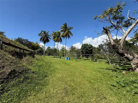 Lot 6 Camino Paco Galán Guaynabo PR 00966