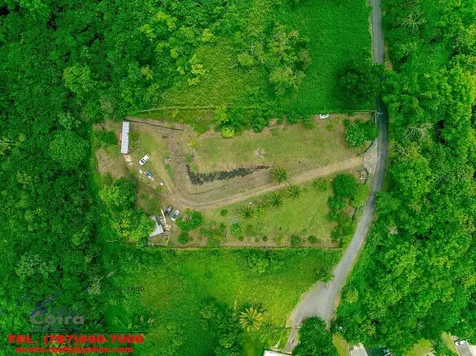 Lot 6 Camino Paco Galán Guaynabo PR 00966