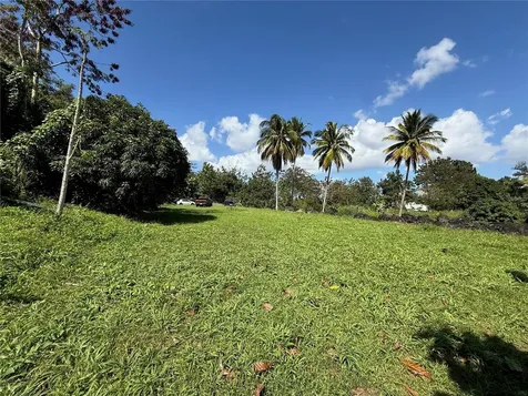 Lot 6 Camino Paco Galán Guaynabo PR 00966