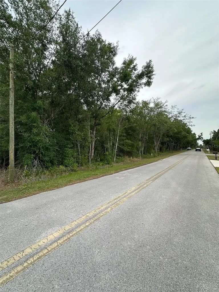 SE 86th Court Belleview FL 34420
