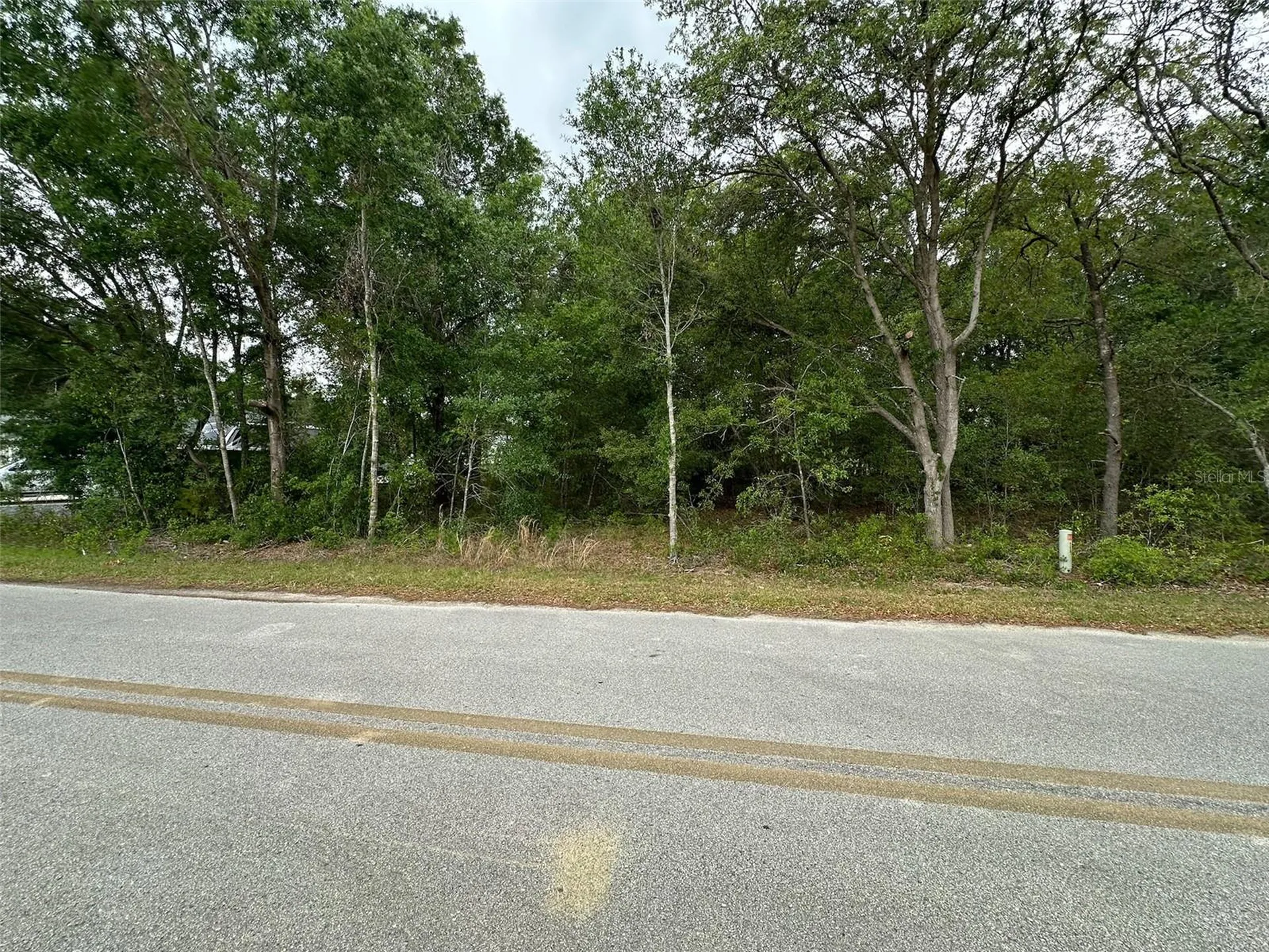SE 86th Court Belleview FL 34420