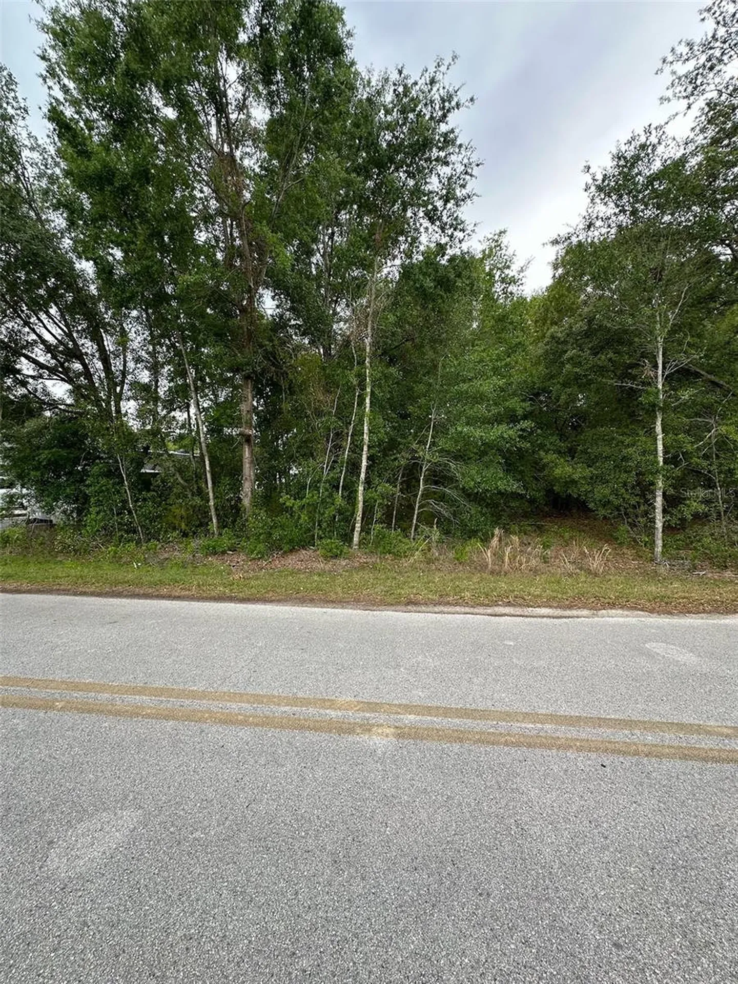 SE 86th Court Belleview FL 34420