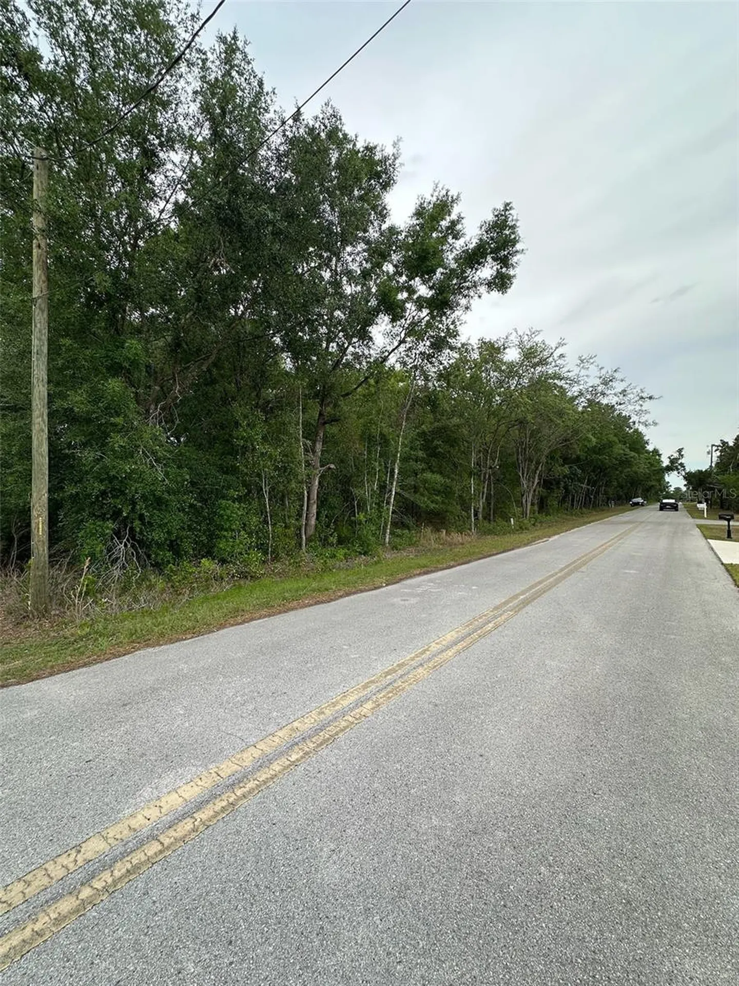 SE 86th Court Belleview FL 34420