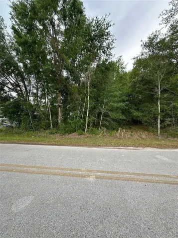SE 86th Court Belleview FL 34420