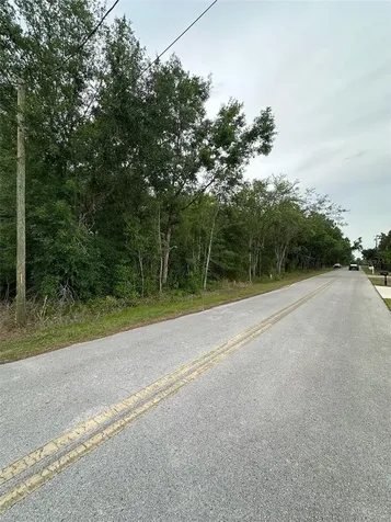 SE 86th Court Belleview FL 34420